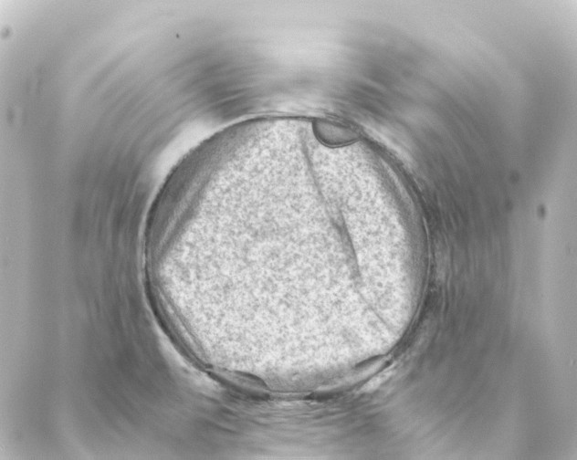 X0000088601471200706221353