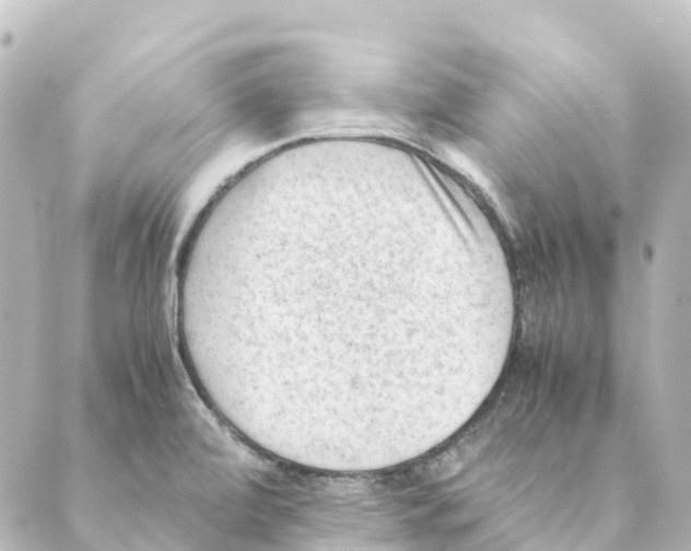 X0000088601472200706221353