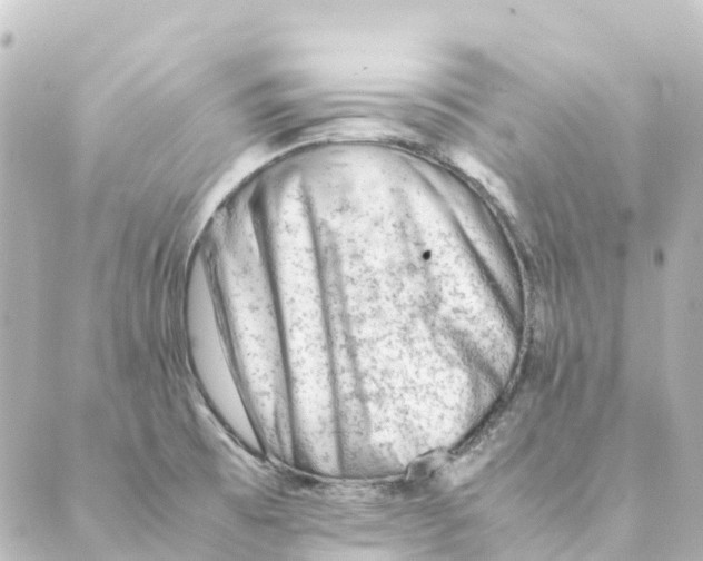 X0000088601473200706221353