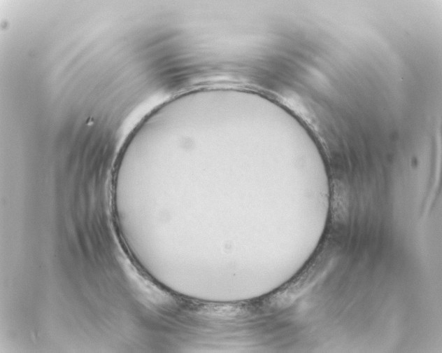 X0000088601474200706221353