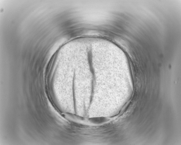 X0000088601475200706221353