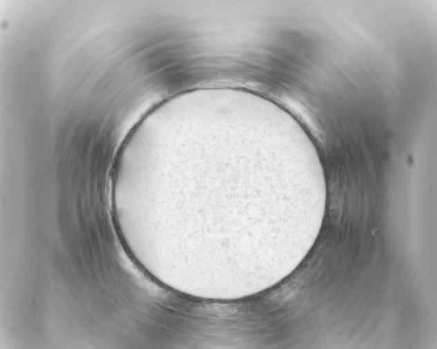 X0000088601476200706221353