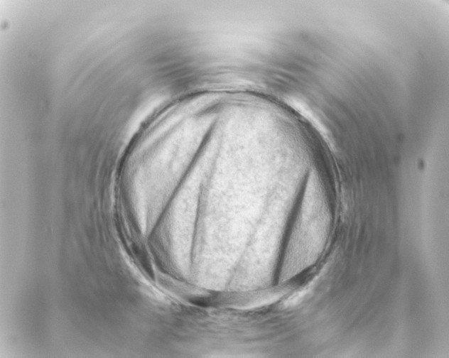 X0000088601477200706221353