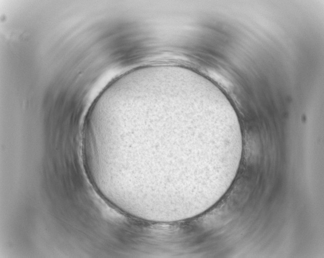 X0000088601478200706221353