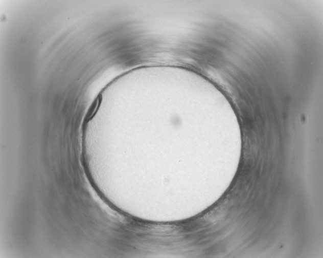 X0000088601479200706221353