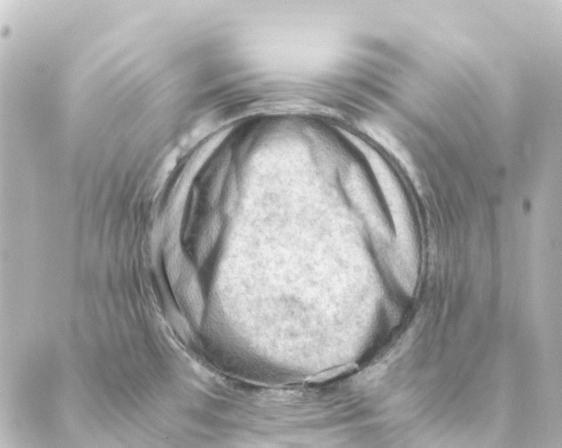 X0000088601481200706221353