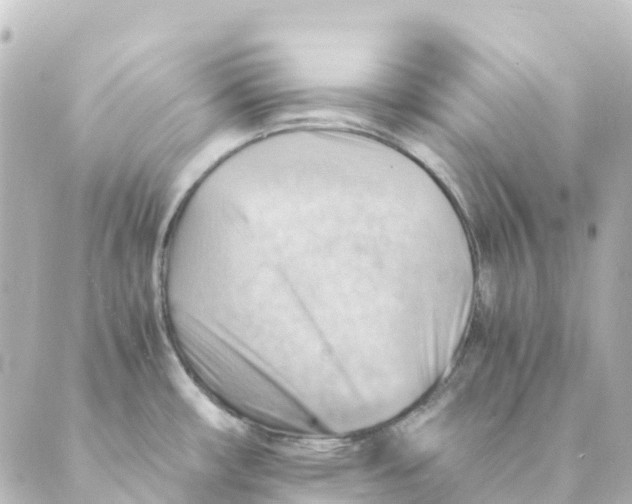 X0000088601482200706221353