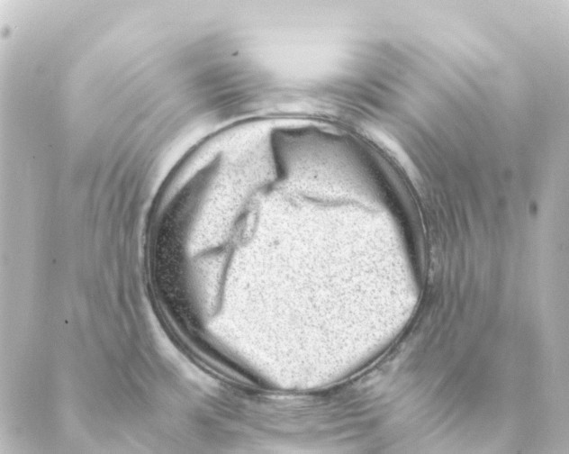 X0000088601483200706221353