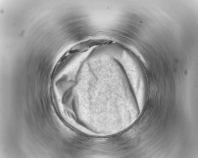 X0000088601484200706221353