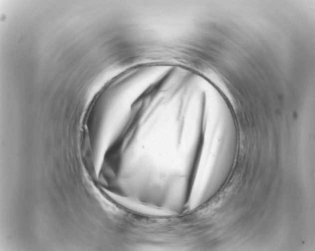 X0000088601485200706221353