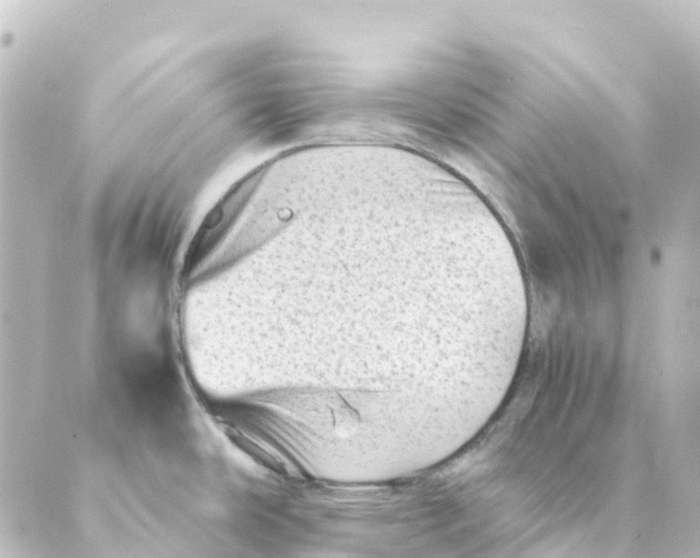 X0000088601486200706221353