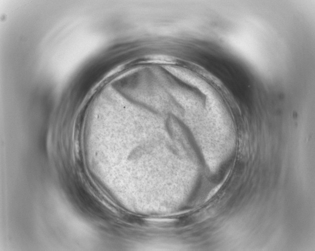 X0000088601487200706221353