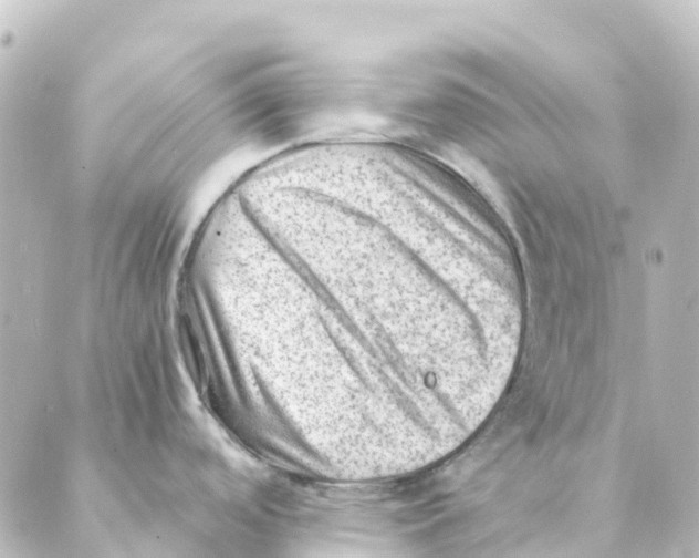 X0000088601488200706221353