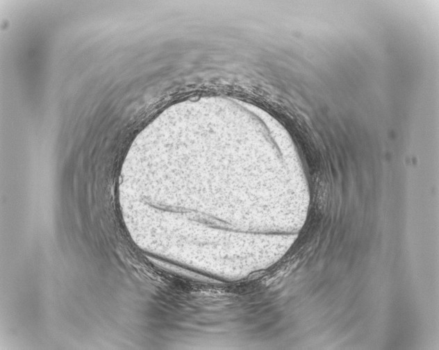 X0000088601489200706221352