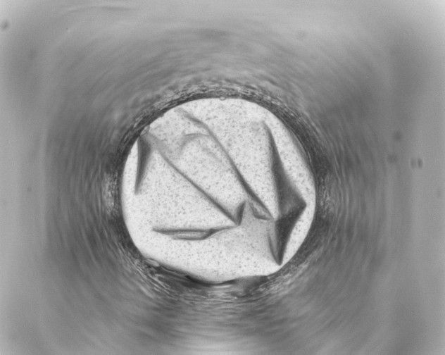 X0000088601490200706221352