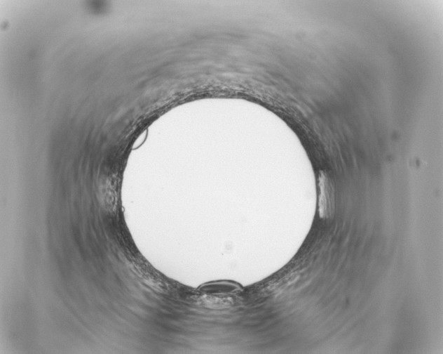 X0000088601491200706221352