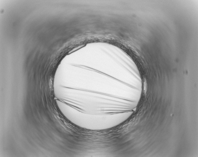 X0000088601492200706221352