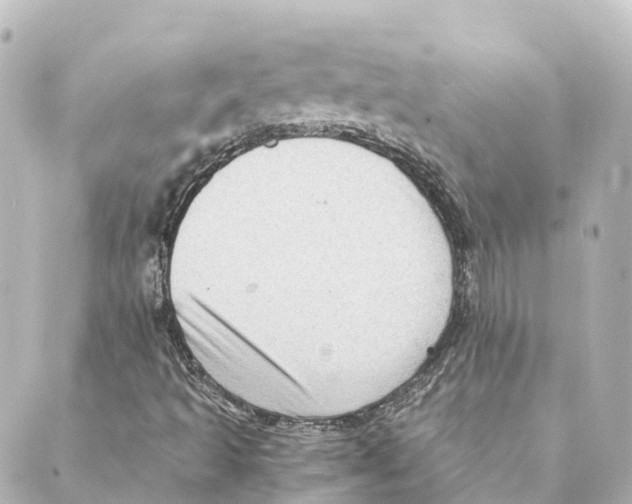 X0000088601493200706221353