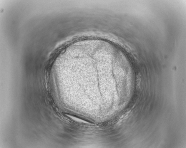 X0000088601494200706221353