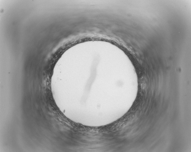 X0000088601495200706221353