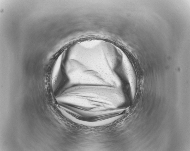 X0000088601496200706221353