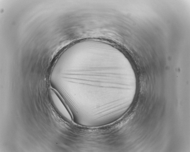 X0000088601497200706221353