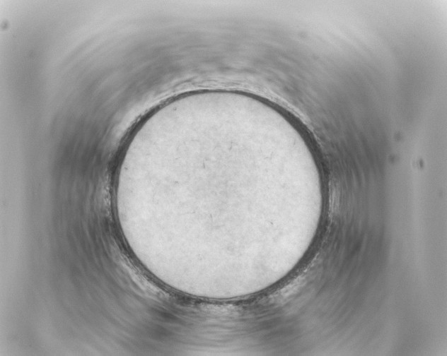 X0000088601498200706221353