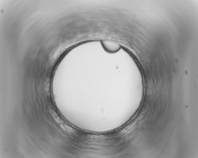 X0000088601499200706221353