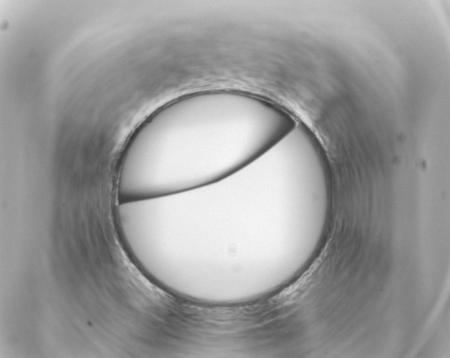 X0000088601500200706221353