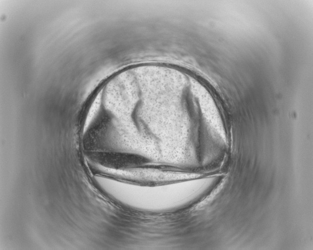 X0000088601501200706221353