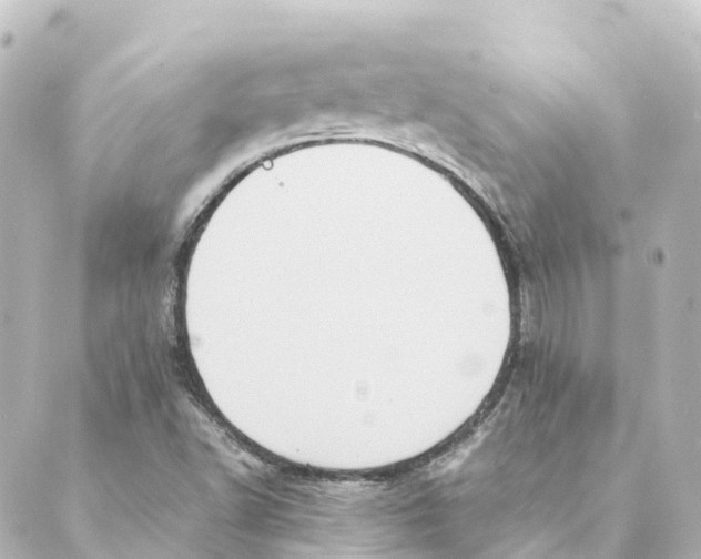 X0000088601502200706221353