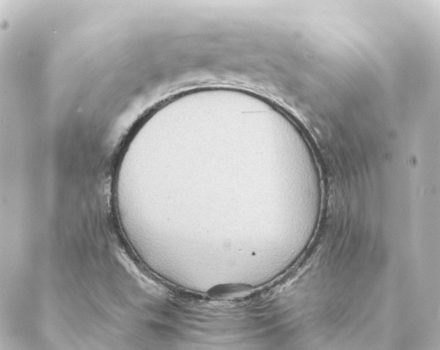 X0000088601503200706221353