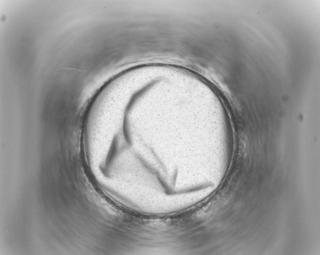 X0000088601504200706221353