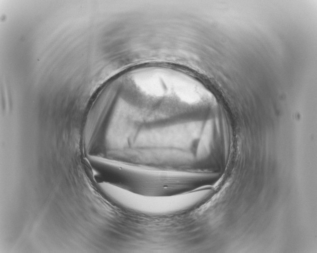 X0000088601505200706221353