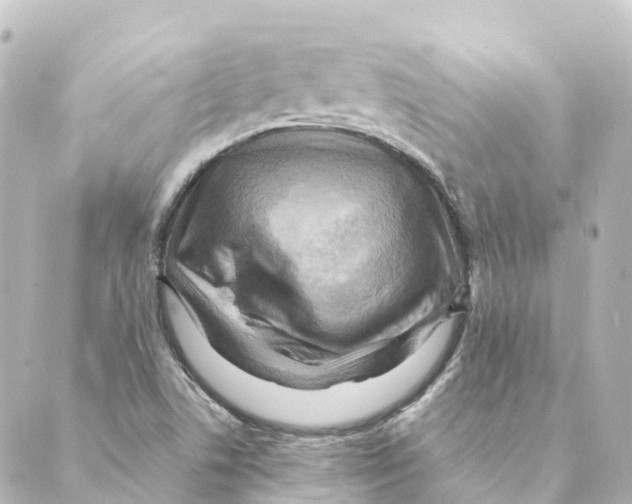 X0000088601506200706221353