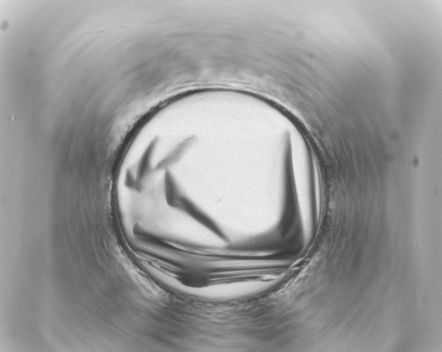 X0000088601507200706221353