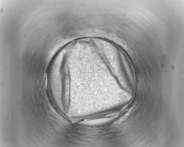 X0000088601509200706221353