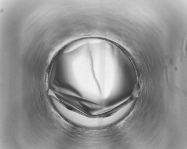 X0000088601510200706221353