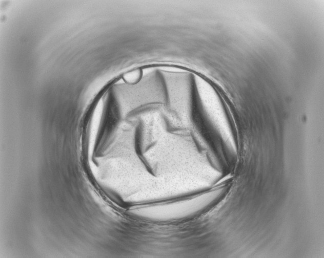 X0000088601511200706221353