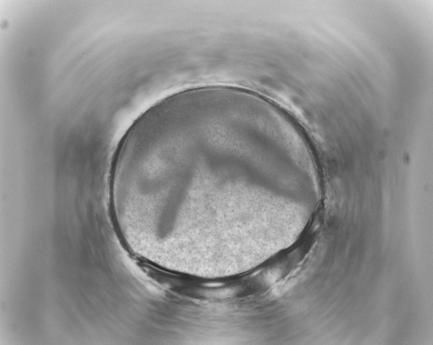 X0000088601512200706221353