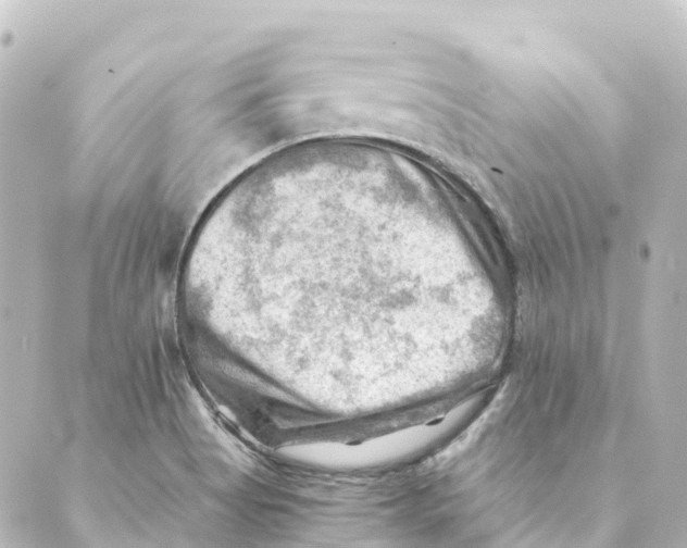 X0000088601513200706221353