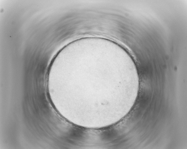 X0000088601514200706221353