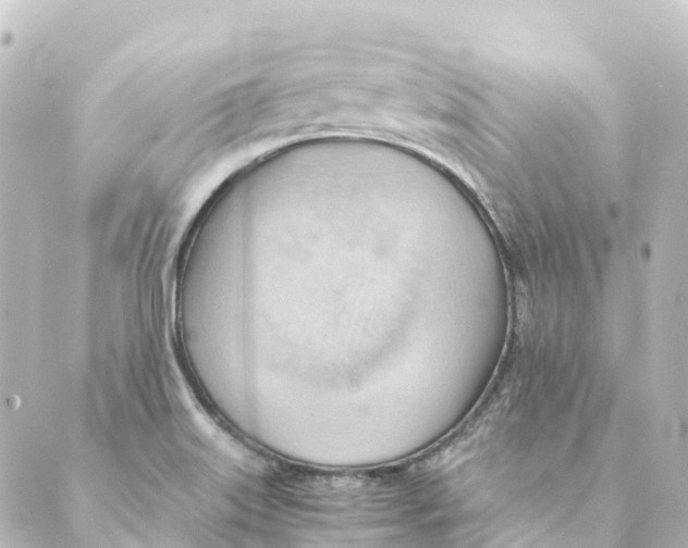 X0000088601515200706221353