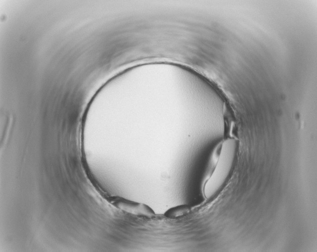 X0000088601516200706221353