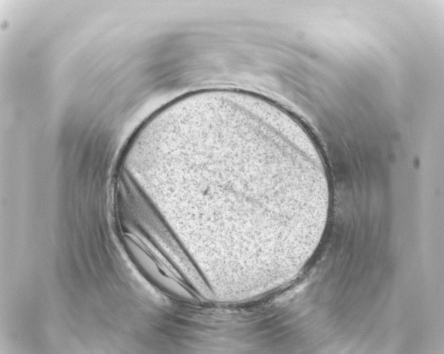 X0000088601517200706221353