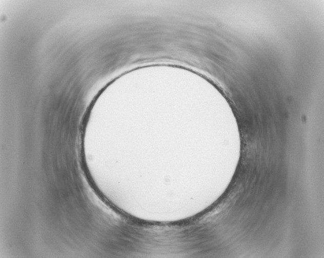 X0000088601518200706221353