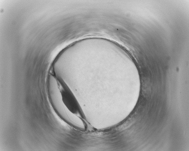 X0000088601519200706221353