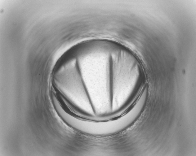 X0000088601520200706221353