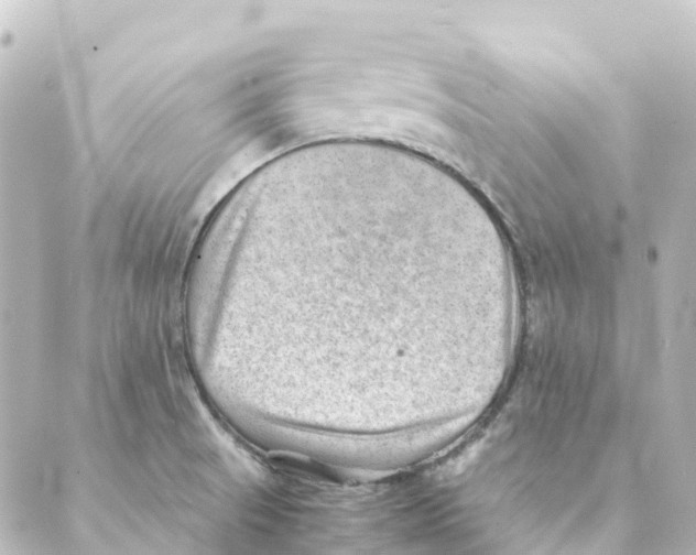 X0000088601521200706221353