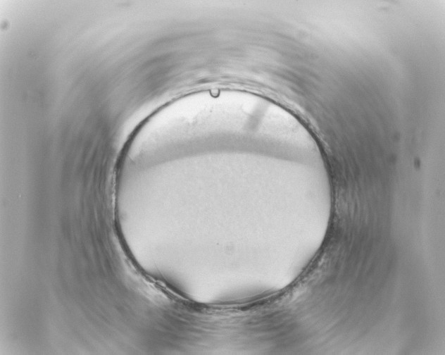 X0000088601522200706221353